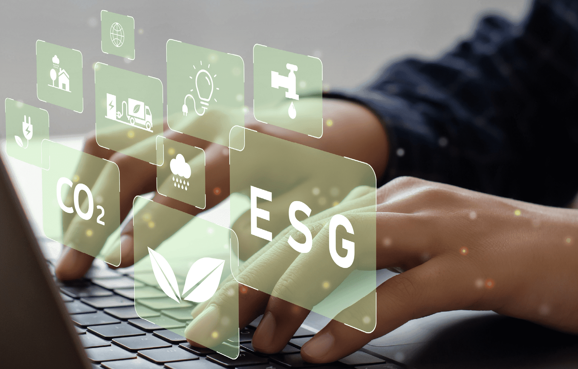 Бизнес-процессы и организация