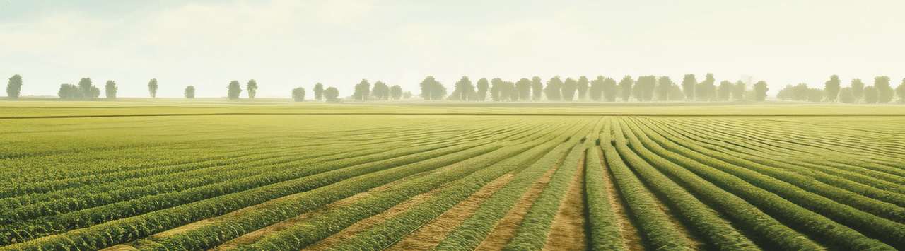 Метрики и результаты