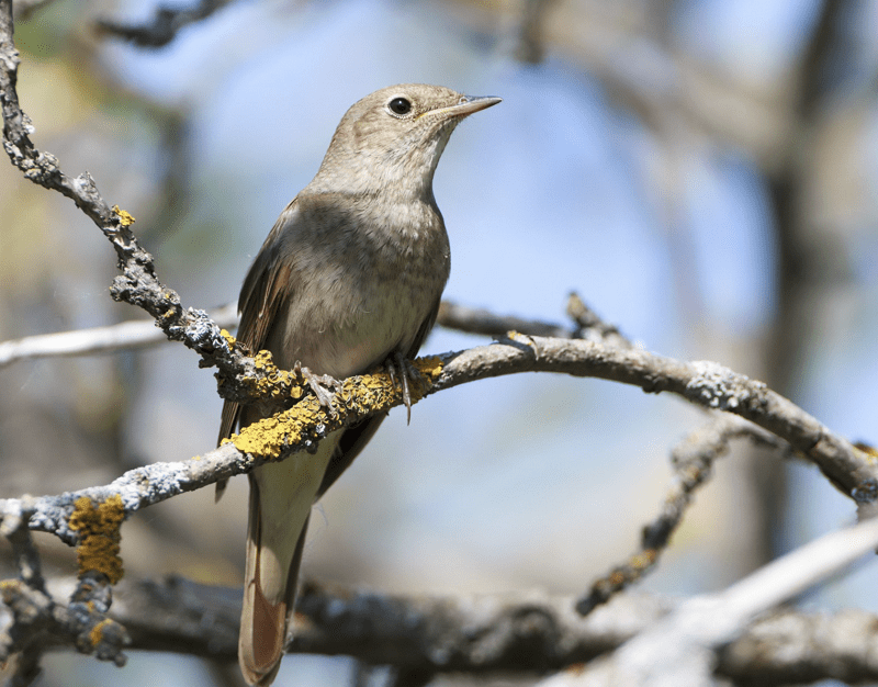 Метрики и результаты