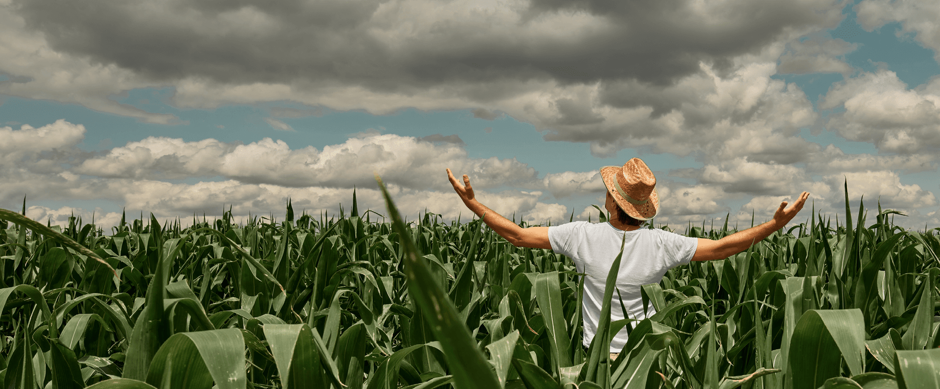 Добровольная ESG-сертификация продукции