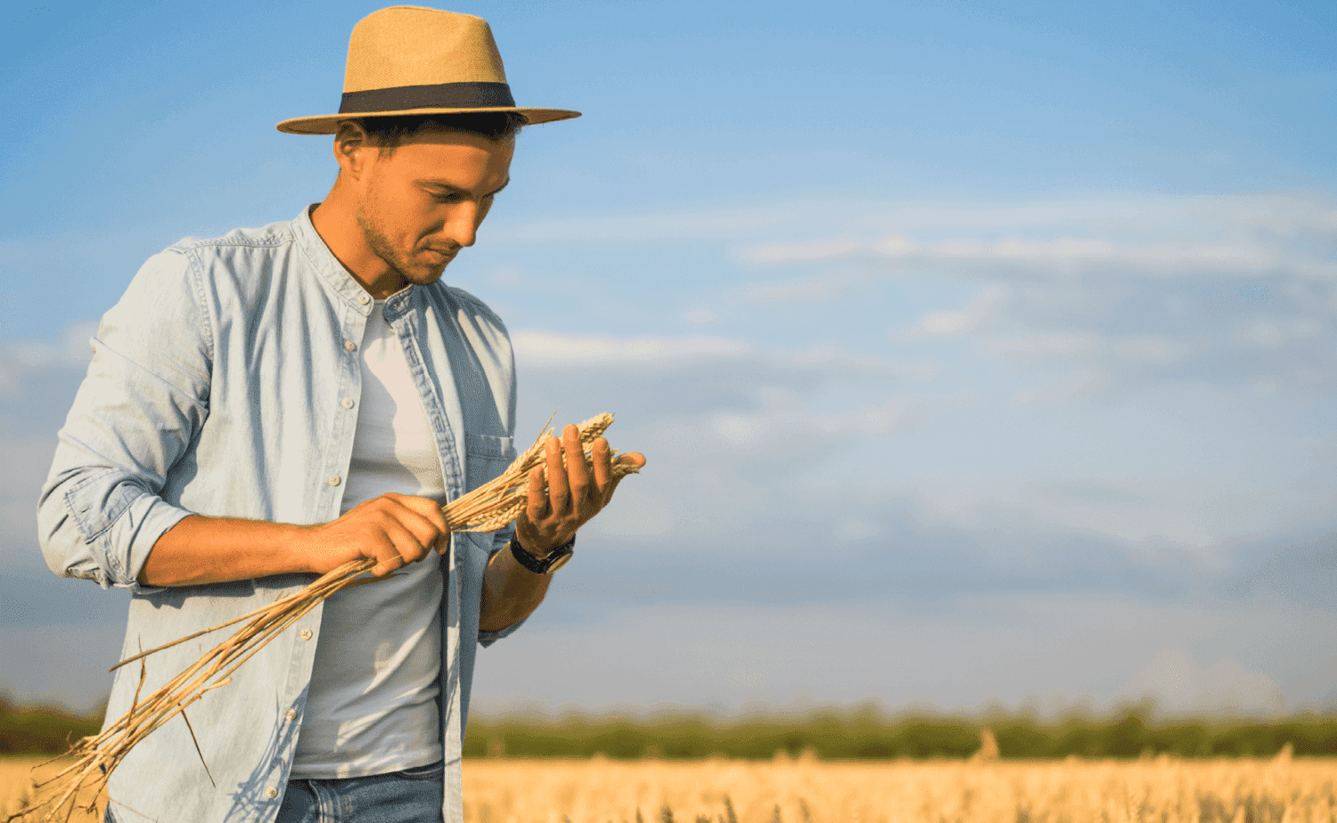 Удовлетворенность потребителей