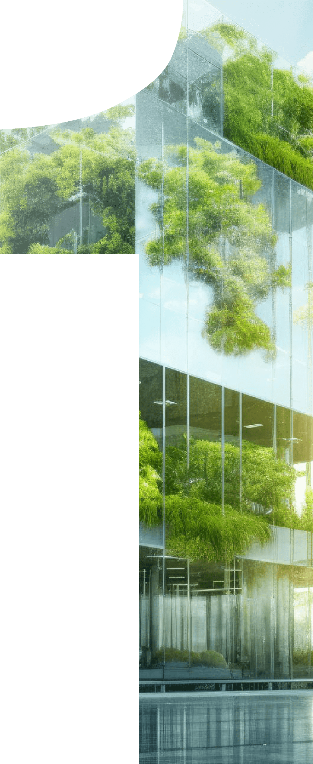 Фокус на потребителя