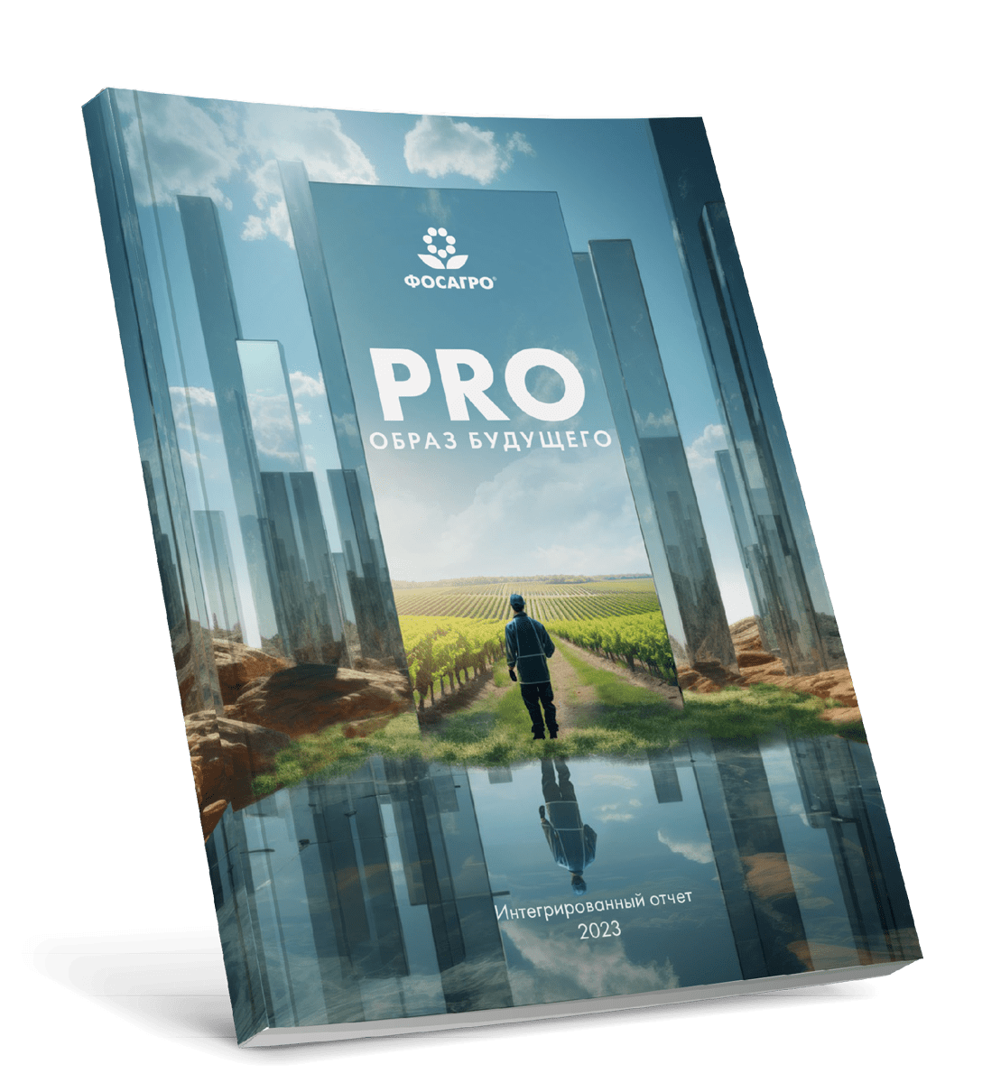 Книга Отчета