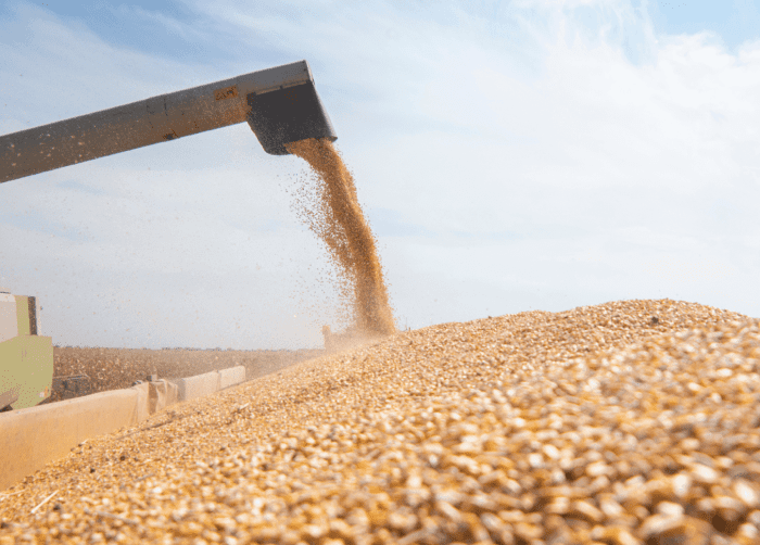 Поставка Продовольствия