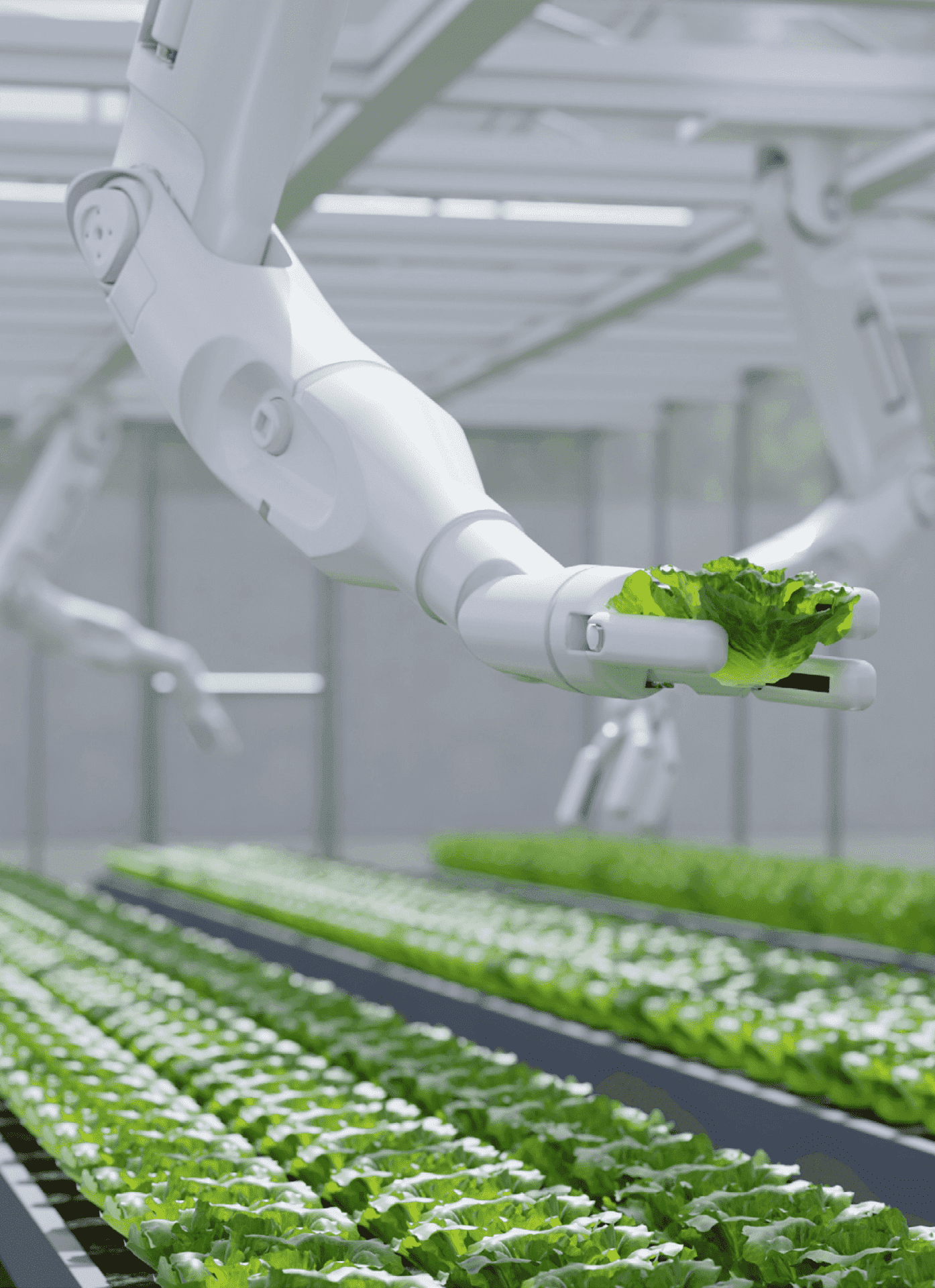 Ключевые показатели